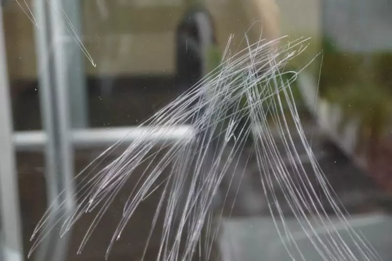 Comment effacer les rayures sur verre et vitrines