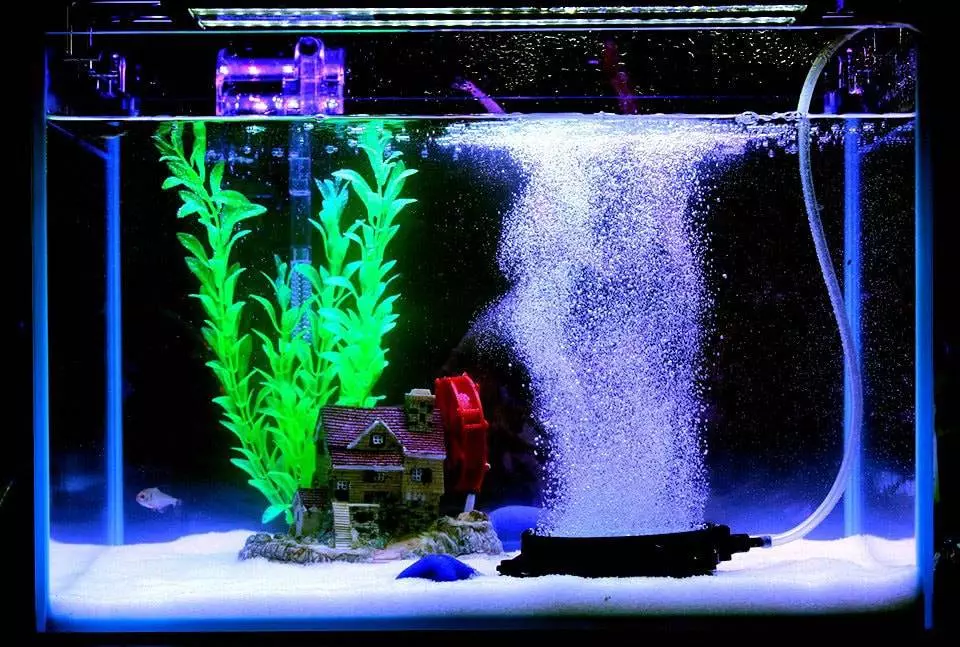 Nettoyage complet d'un aquarium - Aquablog